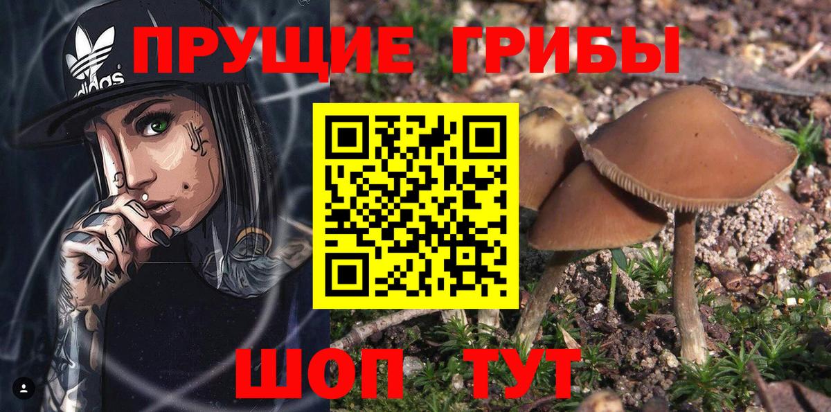 Псилоцибиновые грибы Magic Shrooms Братск
