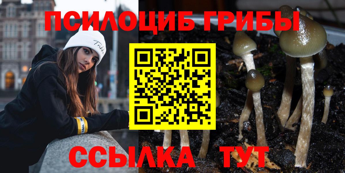 Галлюциногенные грибы MAGIC MUSHROOMS  Вход с VPN  купить   Галлюциногенные грибы Psilocybine cubensis  Братск 